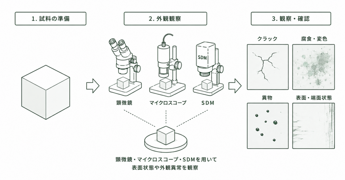 外観観察のアイキャッチ画像